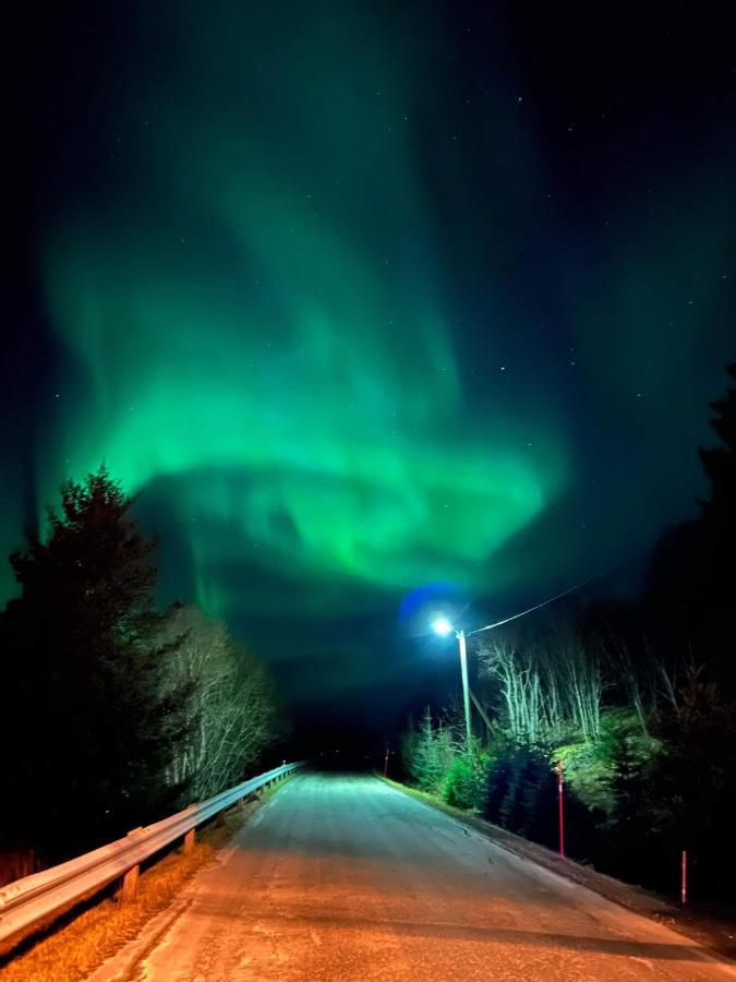 Kleppstad Sydalen Houseヴィラ エクステリア 写真