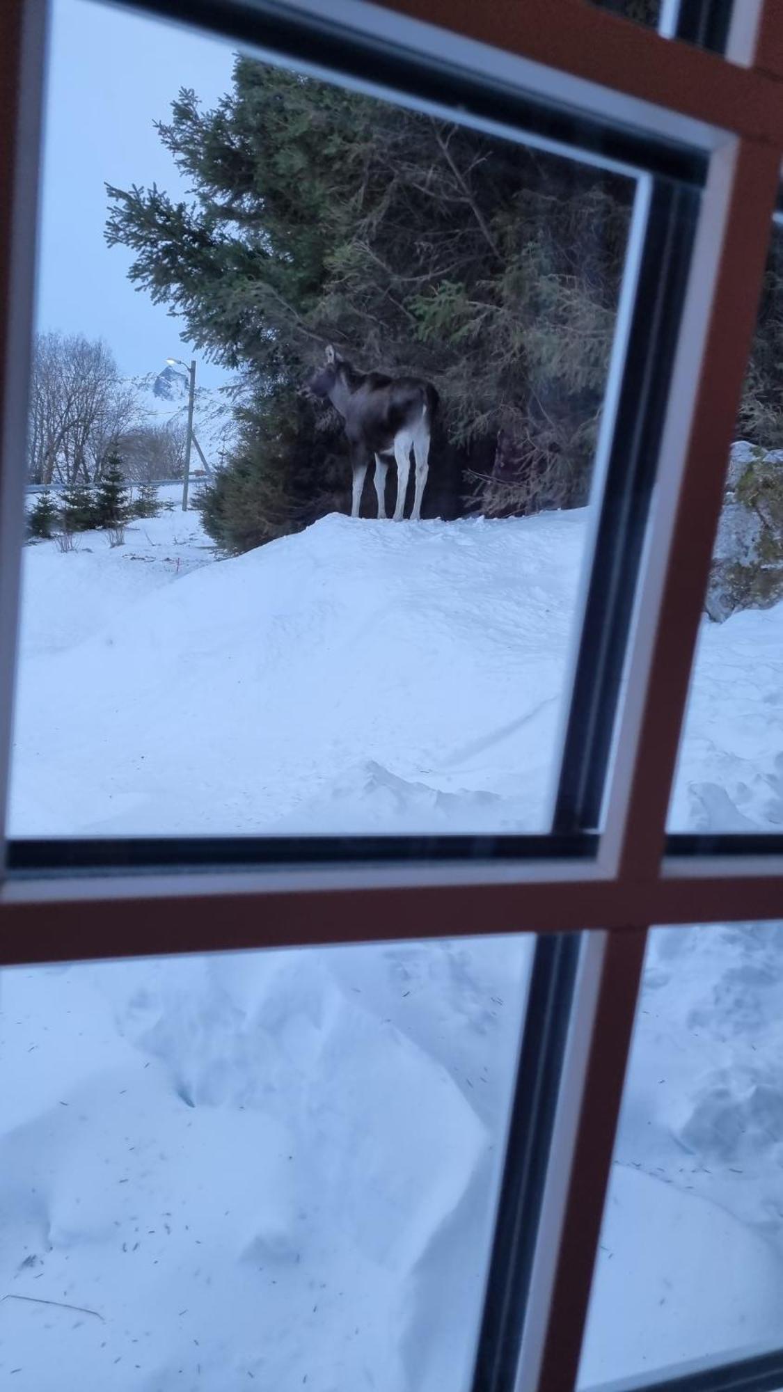 Kleppstad Sydalen Houseヴィラ エクステリア 写真